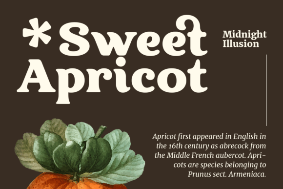 Midnight Illusion Font PNG with transparent background - Preview 2