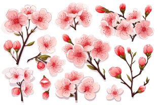 Watercolor Cherry Blossom PNG Clipart Graphic by pixeness · Creative ...