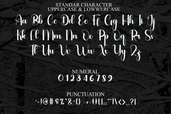 Carnival Font - Preview 2