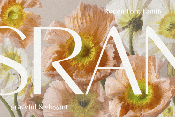Roden Font PNG with transparent background - Preview 1