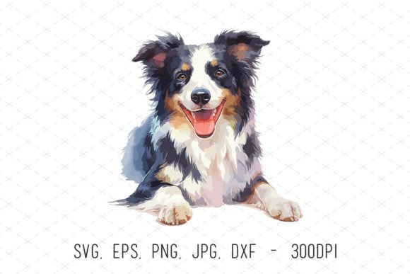 Cute Watercolor Border Collie Dog Png Graphic Illustrations By ArtCursor