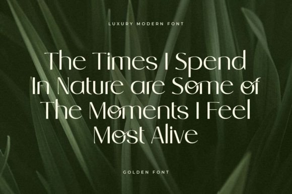 Golden Font - Preview 6