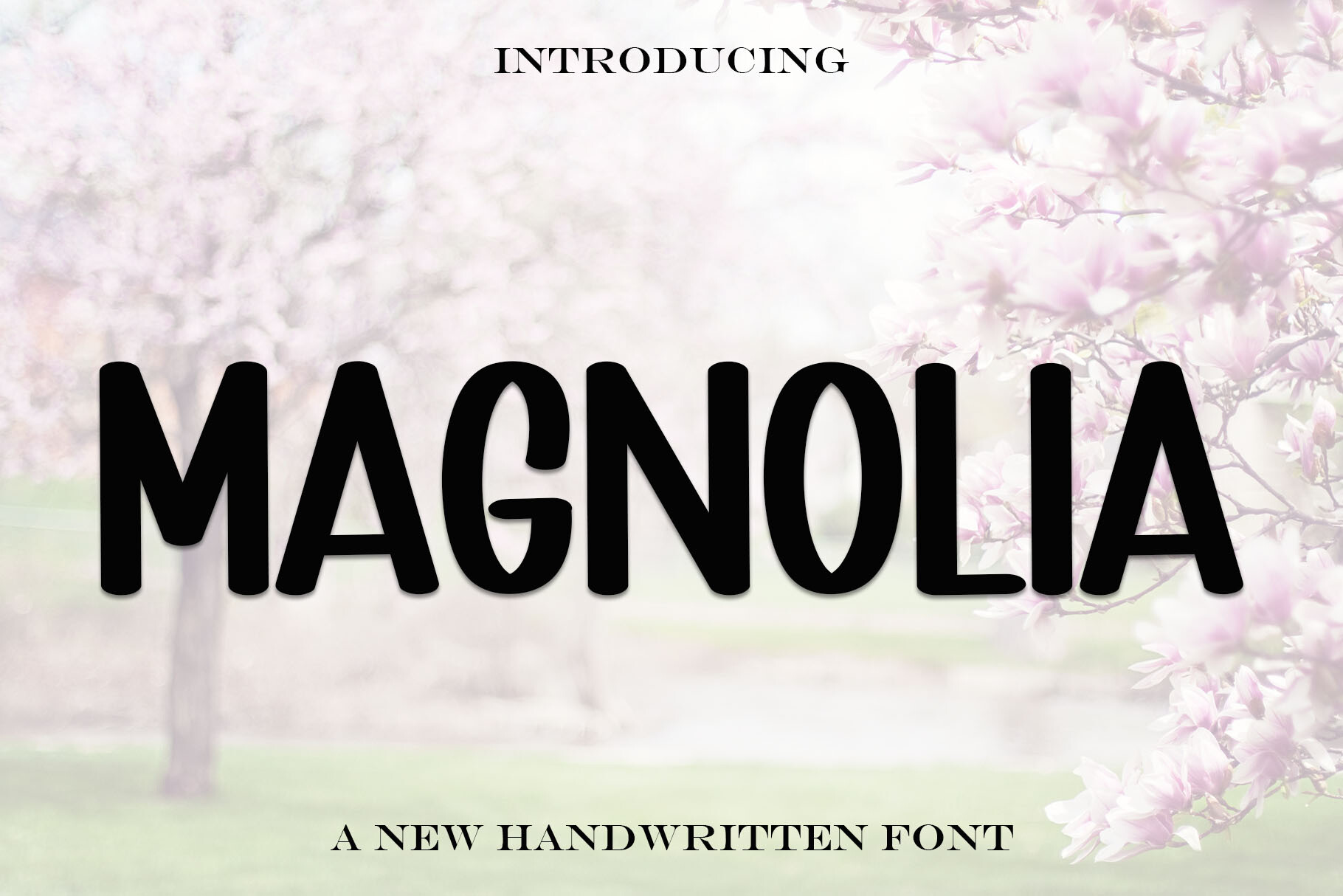 Magnolia Font by putrasyahreza00 · Creative Fabrica