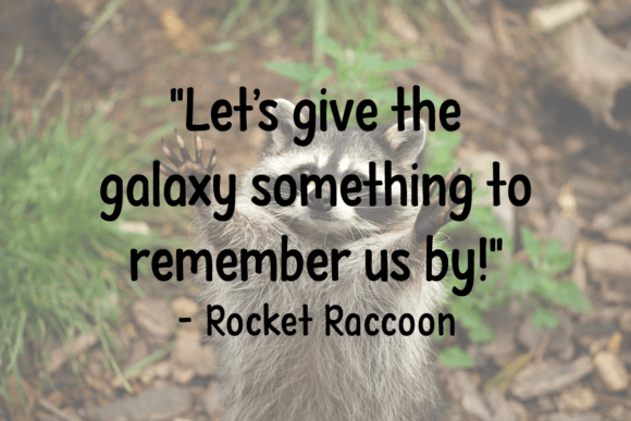 Sassy Raccoon Font PNG with transparent background - Preview 2