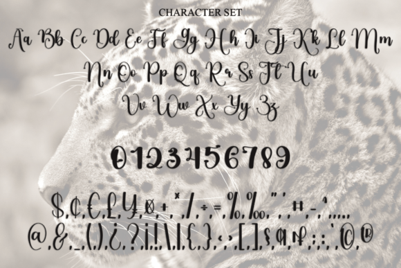 Jaguar Font - Preview 5