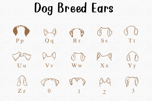 Dog Breed Ears Font - Preview 2
