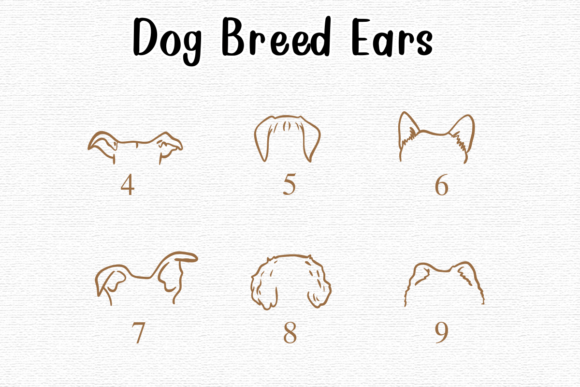 Dog Breed Ears Font - Preview 3