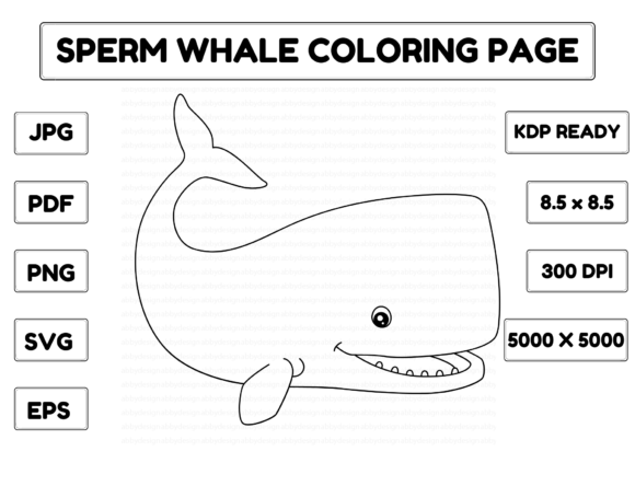 Sperm Whale Coloring Page Isolated
