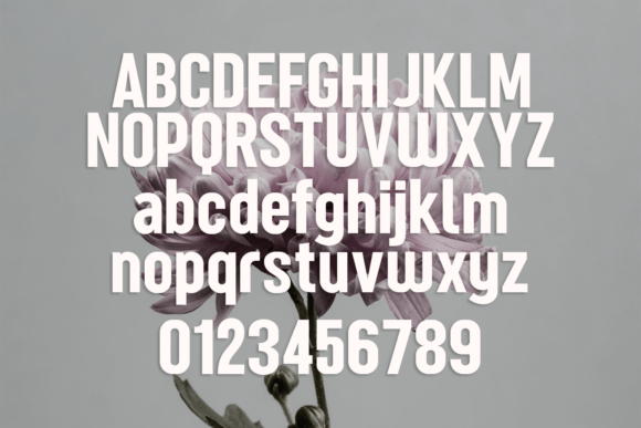Grossura Font - Preview 5