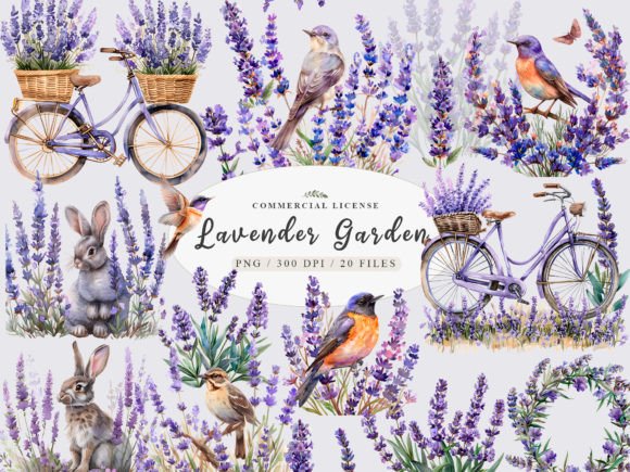 Watercolor Lavender Png,Provence Clipart Graphic Illustrations By UsisArt