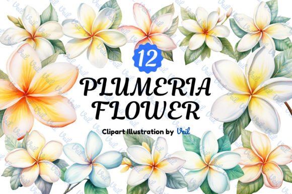 Plumeria Flower Watercolor Bundle Illustration Illustrations Imprimables Par Veil