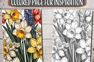 Daffodil Flowers Coloring Pages Graphic by ADCPArt · Creative Fabrica