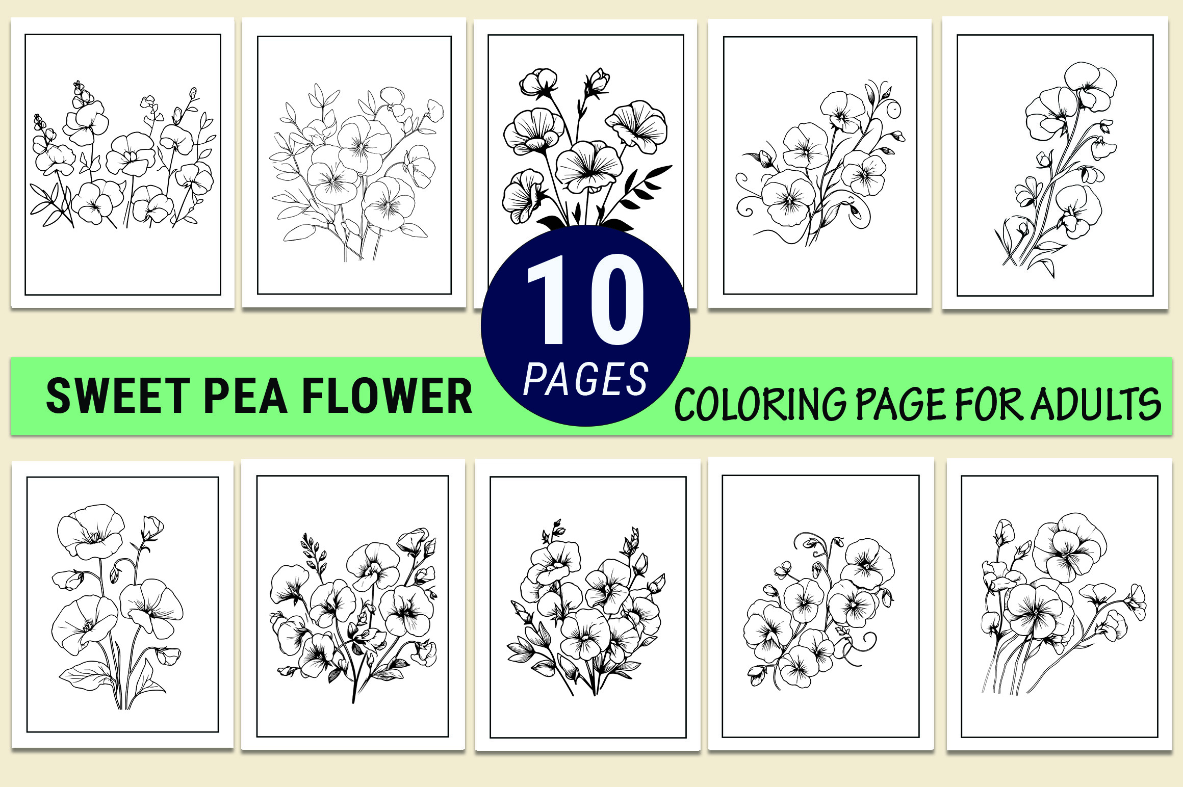 Sweet Pea Flower Drawing Coloring Pges
