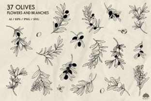 Olive Branches SVG PNG EPS Graphic by HappyWatercolorShop · Creative ...