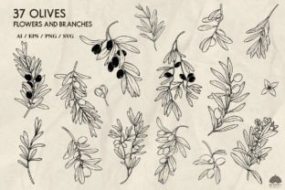 Olive Branches SVG PNG EPS Graphic by HappyWatercolorShop · Creative ...