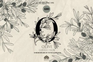 Olive Line Art Collection Graphic by HappyWatercolorShop · Creative Fabrica