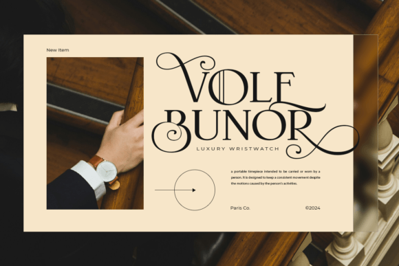 Semaro Font font preview - 4