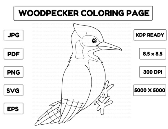 Woodpecker Animal Coloring Page for Kids