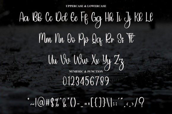 Holiday Font - Preview 5