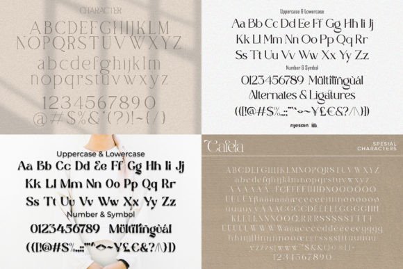 Modern Bundles  Font PNG with transparent background - Preview 6
