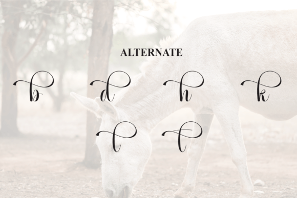 Donkeys Font - Preview 6
