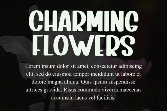 Simply Charming Font PNG with transparent background - Preview 6