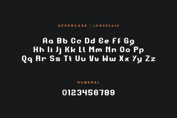 Bolgeho Font - Preview 3