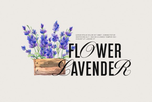 Glamer Font - Preview 3