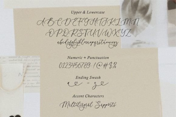 Heavytimes Font PNG with transparent background - Preview 5