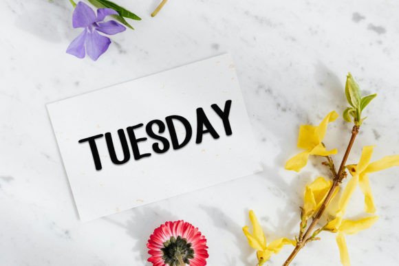Monday Vacation Font PNG with transparent background - Preview 2