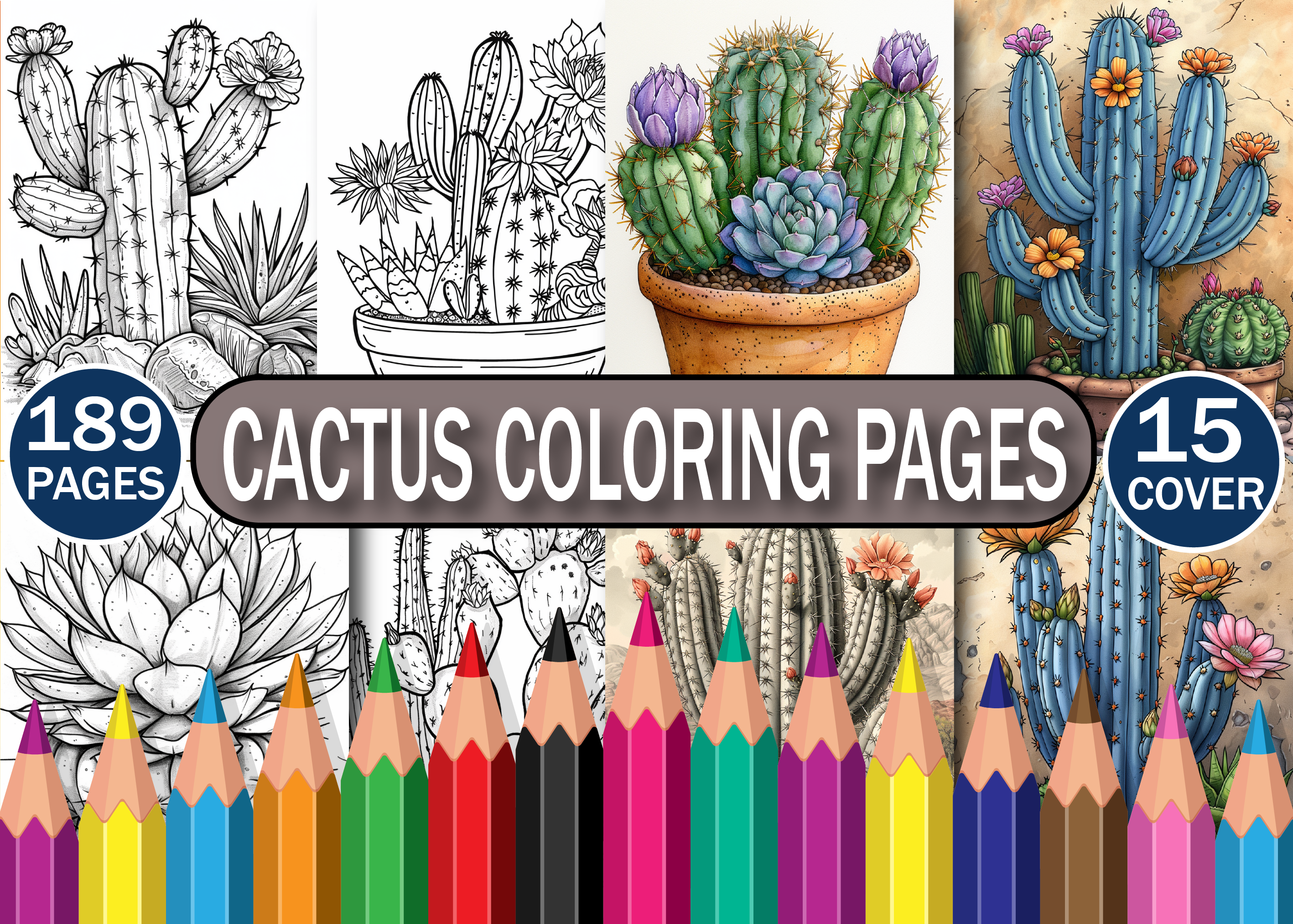 189 Cactus Coloring Pages for Adults