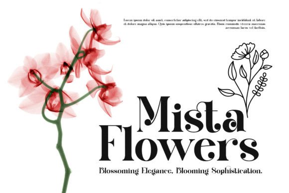 Briges Mediar Font - Preview 1