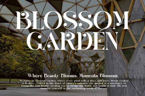 Briges Mediar Font - Preview 4