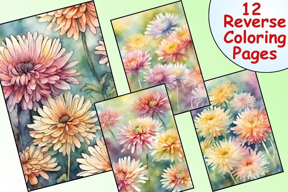 Chrysanthemum Reverse Coloring Pages