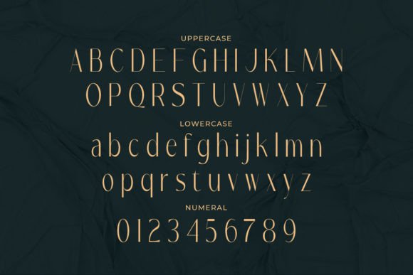 Riesborck Font PNG with transparent background - Preview 1