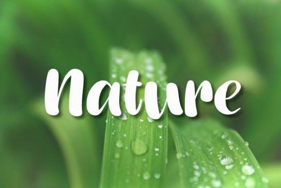 Sandhills Font PNG with transparent background - Preview 4