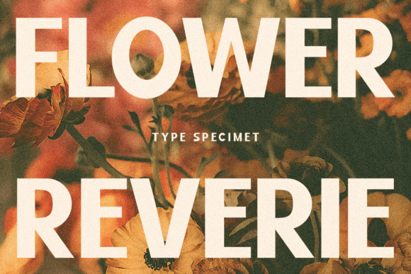 Galina Font Font PNG with transparent background - Preview 1