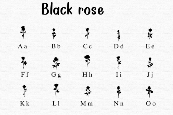 Black Rose Font - Preview 1