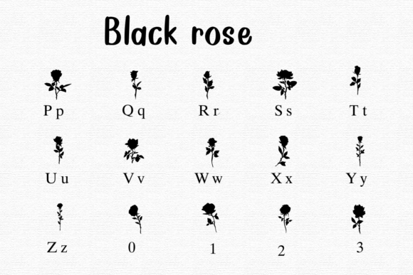 Black Rose Font - Preview 2