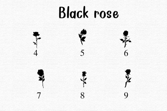 Black Rose Font - Preview 3
