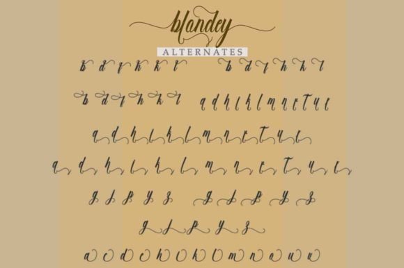 Blondey Script Font - Preview 5