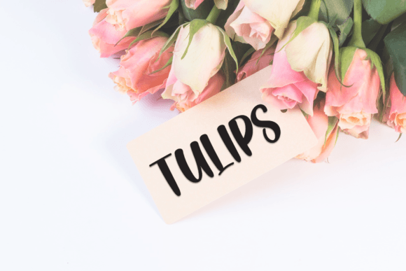 Mannequin Font PNG with transparent background - Preview 4