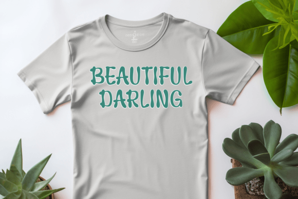 Rare Moment Font font preview - 3