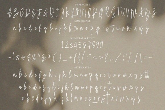 Bagumod Font - Preview 2
