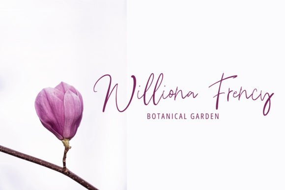 Daring Font - Preview 4