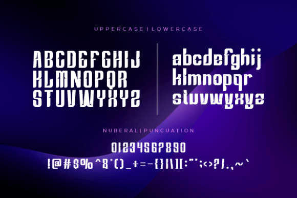 Equador Bolld Font - Preview 1