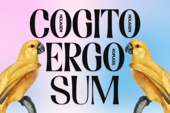 Holagen Font PNG with transparent background - Preview 2