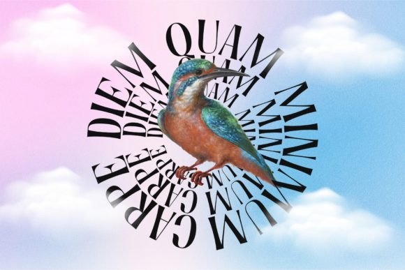 Holagen Font PNG with transparent background - Preview 4