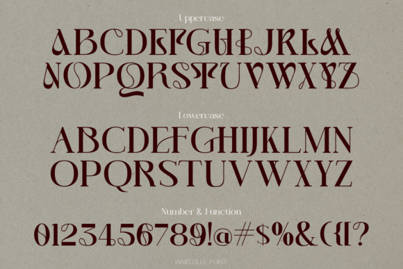 Hartulle Font - Preview 4