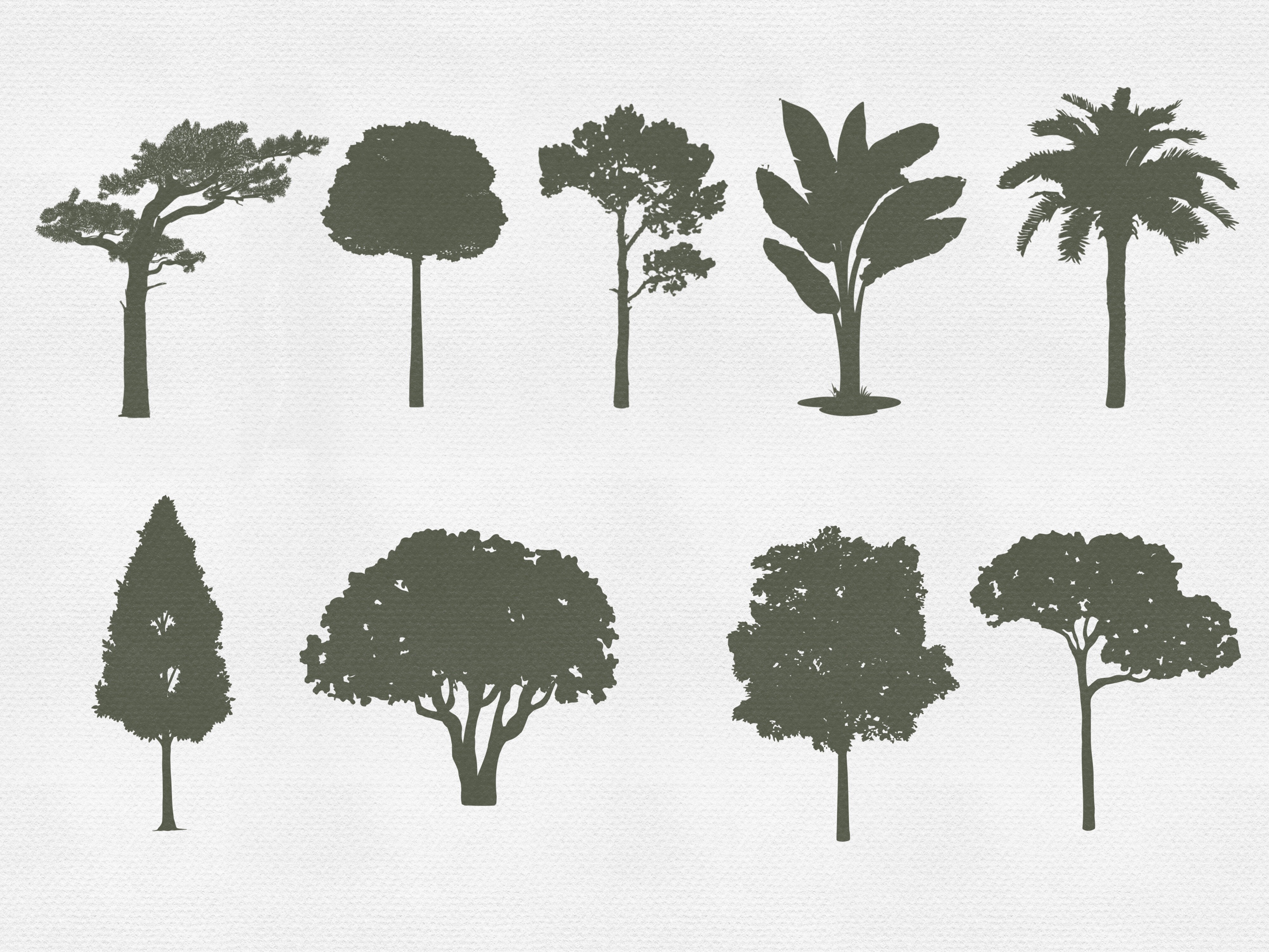 Procreate Tree Stamps Botanical Brushes - photo 2